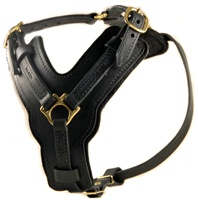 The Victory - Leather Harness