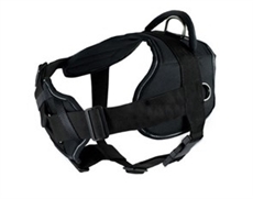 DT Harness with Chest Support