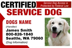 How can a dog get certification to be a service dog?