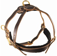 The Cowboy | Leather Dog Harness