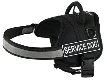DT Works | Patch Dog Harness