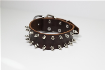 Spike Time | Spiked Dog Collar
