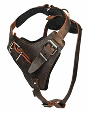 The Boss | Leather Dog Harness
