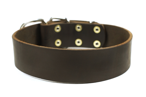 Leash Medium Large Black w/ Brass Dean & Tyler 24” Premium Leather Dog Collar 