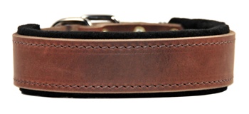 D&T Delight | Padded Leather Dog Collar