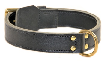 Simplicity | Leather Dog Collar