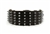 Wide Spike | Spiked Dog Collar