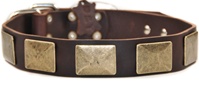 Brass Plate | Leather Dog Collar