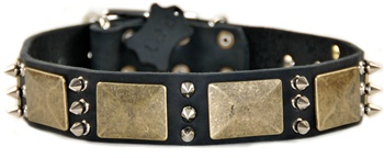 Beauty and the Bold | Spiked Dog Collar