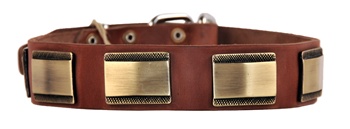 Brass Style | Leather Dog Collar