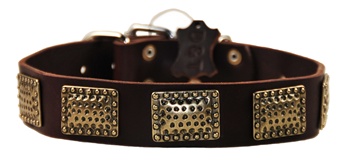 Drum Roll | Leather Dog Collar