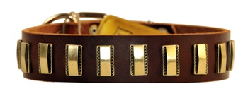 Brass Line | Leather Dog Collar