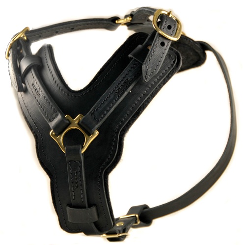Dean and Tyler The Victory Solid Brass Hardware Dog Harness Black Me
