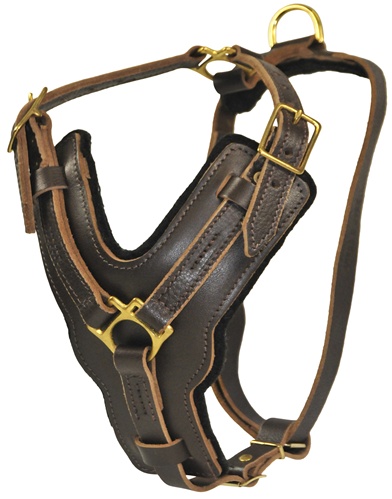 The Victory - Leather Harness