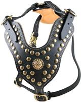 The Royal Stud | Leather Dog Harness