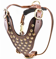 Stud Brother | Leather Dog Harness