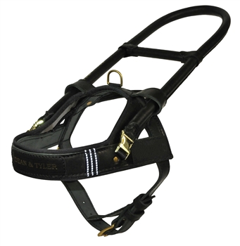 DT Guide | Leather Guide Dog Harness