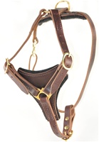 Dean's Choice | Leather Dog Harness