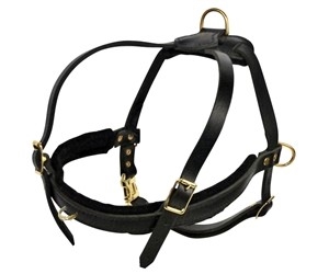 The Cowboy No Pull | Leather Dog Harness