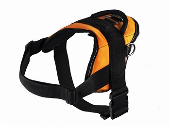 DT Dog Harness | Nylon Easy On and Off Dog Harness
