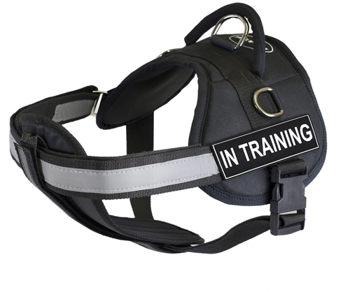 DT Works - Patch Harness with Chest Support