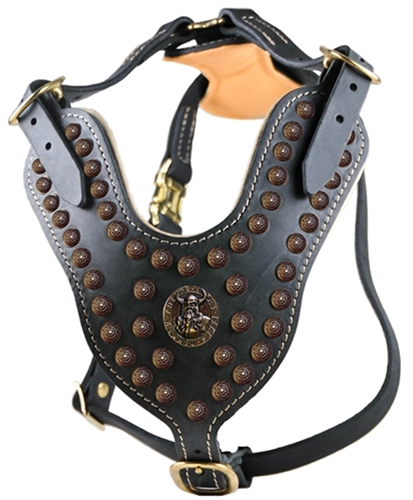 Dean & Tyler 741360336537 The Viking Brass Decorative Leather Harness Black - Large
