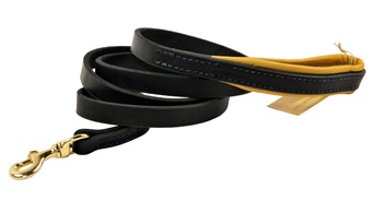 Soft Touch | Leather Dog Leash