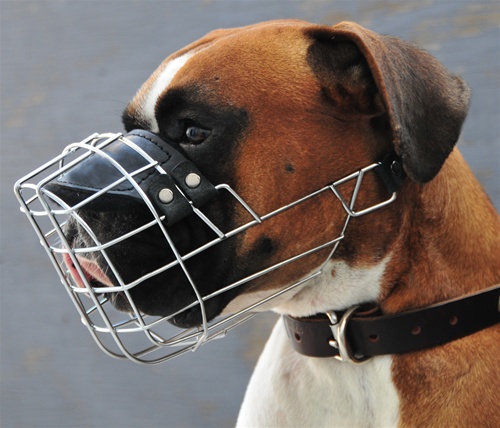 DT Freedom | Full Face Wire Dog Muzzle 