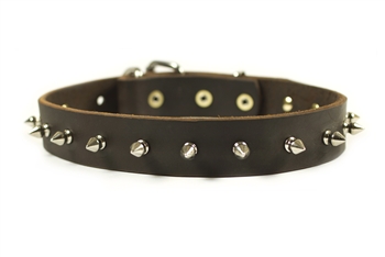 Spiked Punch | Spiked Dog Collar