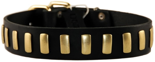 Plated Perfection - Leather Collar