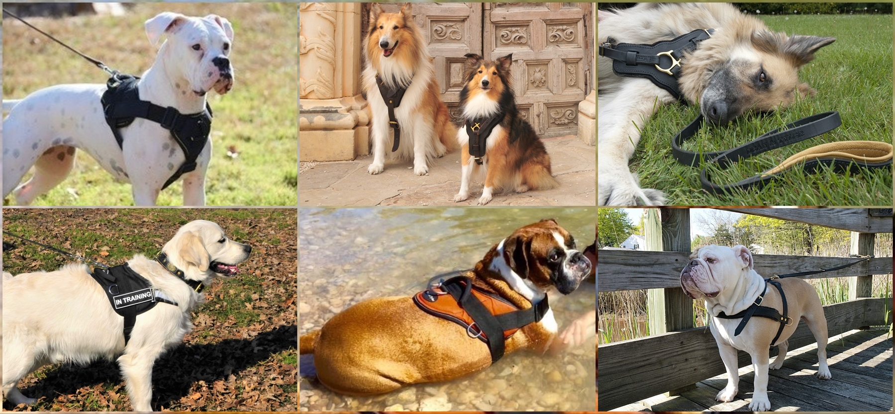 Durable Handmade Dog Harnesses | Dean and Tyler Dog Harnesses